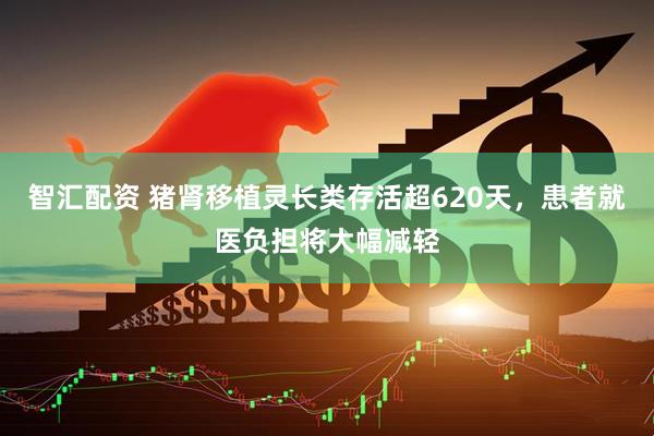 智汇配资 猪肾移植灵长类存活超620天，患者就医负担将大幅减轻