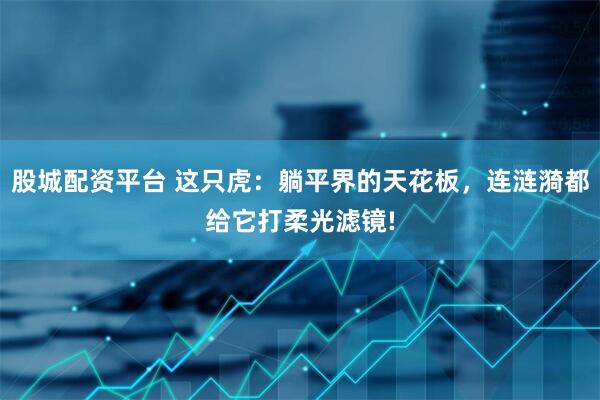 股城配资平台 这只虎：躺平界的天花板，连涟漪都给它打柔光滤镜!